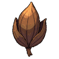 magical glowing herb  dried and brown