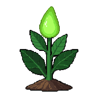 magical glowing herb  tiny seedling sprouting