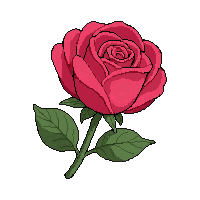rose blossom  fresh and vibrant