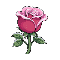 rose blossom  frost covered
