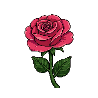 rose blossom  with butterfly
