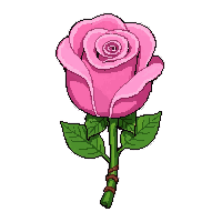 rose blossom  wrapped in twine bundle