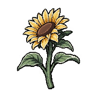 sunflower bloom  frost covered