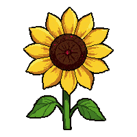 sunflower bloom  with golden glow