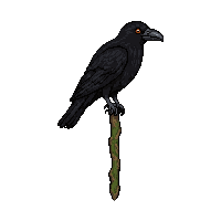 druid vine staff topped with raven