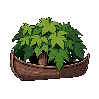 small rowboat  covered in vines