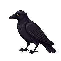 nature crow black intelligent bird 008 2026 03 25T19 14 54