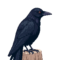nature crow black intelligent bird 018 v2 2026 03 25T19 14 54