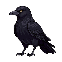 nature crow black intelligent bird 028 v3 2026 03 25T19 14 54