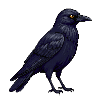 nature crow black intelligent bird 038 v4 2026 03 25T19 14 54