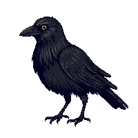 nature crow black intelligent bird 068 v7 2026 03 25T19 14 54
