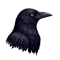 nature crow black intelligent bird 078 v8 2026 03 25T19 14 54