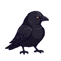 nature crow black intelligent bird 098 v10 2026 03 25T19 14 54