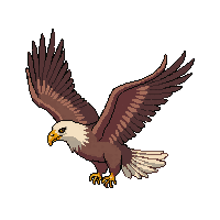 nature eagle soaring bird prey 011 v2 2026 03 25T19 14 54