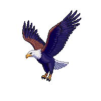 nature eagle soaring bird prey 021 v3 2026 03 25T19 14 54
