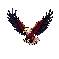 nature eagle soaring bird prey 031 v4 2026 03 25T19 14 54