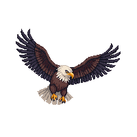 nature eagle soaring bird prey 061 v7 2026 03 25T19 14 54