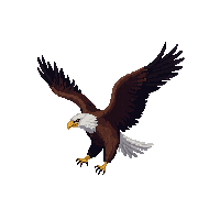 nature eagle soaring bird prey 081 v9 2026 03 25T19 14 54