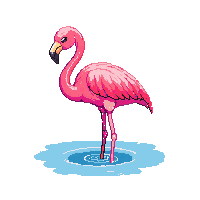 nature flamingo pink wading bird 006 2026 03 25T19 14 54