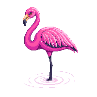 nature flamingo pink wading bird 026 v3 2026 03 25T19 14 54