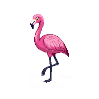 nature flamingo pink wading bird 046 v5 2026 03 25T19 14 54