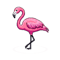 nature flamingo pink wading bird 056 v6 2026 03 25T19 14 54