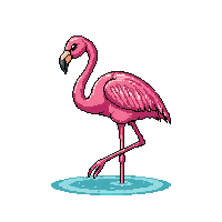 nature flamingo pink wading bird 076 v8 2026 03 25T19 14 54