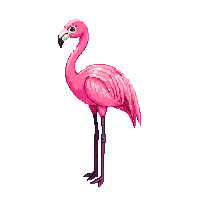 nature flamingo pink wading bird 086 v9 2026 03 25T19 14 54