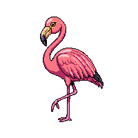 nature flamingo pink wading bird 096 v10 2026 03 25T19 14 54