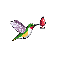 nature hummingbird tiny hovering bird 034 v4 2026 03 25T19 14 54