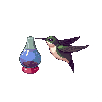 nature hummingbird tiny hovering bird 054 v6 2026 03 25T19 14 54