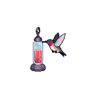 nature hummingbird tiny hovering bird 094 v10 2026 03 25T19 14 54