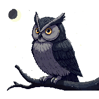 nature owl wise night bird 072 v8 2026 03 25T19 14 54