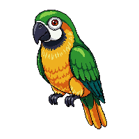 nature parrot colorful tropical bird 073 v8 2026 03 25T19 14 54