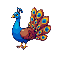 nature peacock display colorful bird 015 v2 2026 03 25T19 14 54