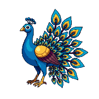 nature peacock display colorful bird 025 v3 2026 03 25T19 14 54