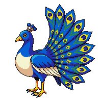 nature peacock display colorful bird 055 v6 2026 03 25T19 14 54