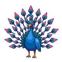 nature peacock display colorful bird 065 v7 2026 03 25T19 14 54