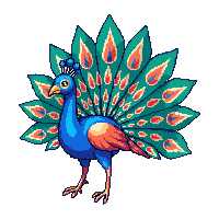 nature peacock display colorful bird 075 v8 2026 03 25T19 14 54