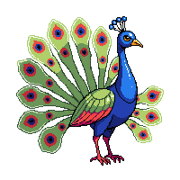 nature peacock display colorful bird 085 v9 2026 03 25T19 14 54