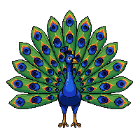 nature peacock display colorful bird 095 v10 2026 03 25T19 14 54