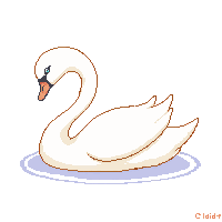 nature swan elegant water bird 019 v2 2026 03 25T19 14 54