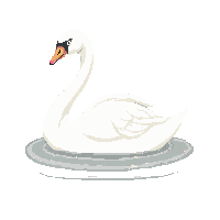 nature swan elegant water bird 049 v5 2026 03 25T19 14 54
