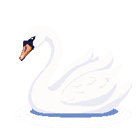 nature swan elegant water bird 069 v7 2026 03 25T19 14 54