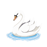 nature swan elegant water bird 079 v8 2026 03 25T19 14 54