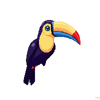 nature toucan beak colorful bird 047 v5 2026 03 25T19 14 54