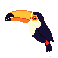 nature toucan beak colorful bird 057 v6 2026 03 25T19 14 54