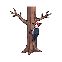 nature woodpecker tree bird pecking 050 v5 2026 03 25T19 14 54