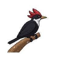 nature woodpecker tree bird pecking 080 v8 2026 03 25T19 14 54