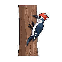 nature woodpecker tree bird pecking 090 v9 2026 03 25T19 14 54